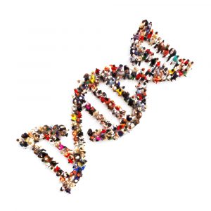 ما هي فوائد وأضرار علم الأنساب الجيني؟