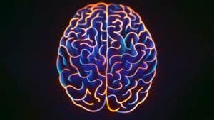علماء الكمبيوتر يرغبون في محاكاة أداء الدماغ البشري باستخدام الشبكات العصبونية