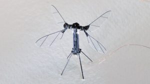 شاهد أول مركبة جوية بحجم الحشرة تطير دون الحاجة إلى سلك مرتبط بها