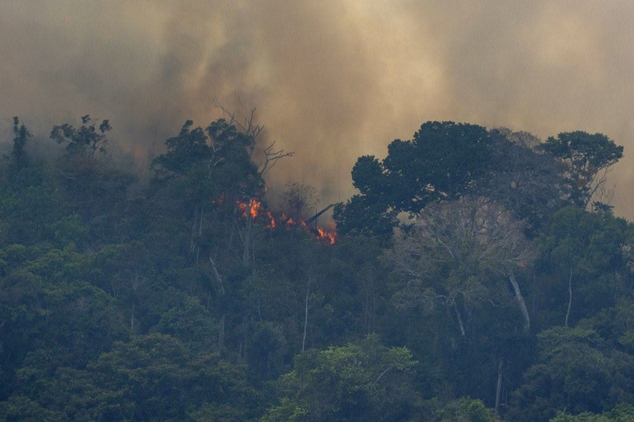 ازدياد حرائق الأمازون بنسبة 80 عن العام الماضي لماذا يعد الأمر