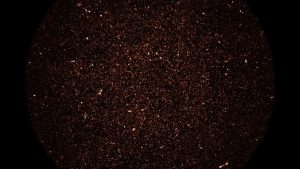 كل بقعة ساطعة في هذه الصورة الجديدة تمثل مجرة بعيدة