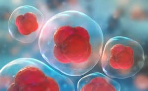 من أبوظبي: تجارب سريرية ناجحة لعلاج كوفيد-19 باستخدام الخلايا الجذعية