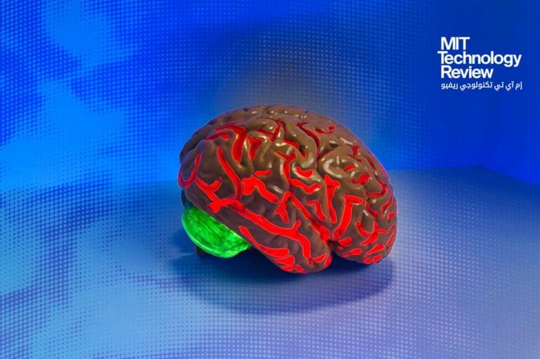 الدماغ البشري ذاكرة الذكاء الاصطناعي