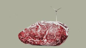 الاستهلاك العالمي للحوم يتجه لتسجيل رقم قياسي