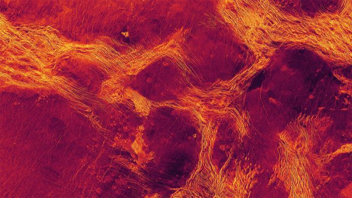 منظر راداري بالألوان الزائقة للافينيا بلانيشيا
