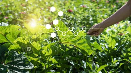 أهم استخدامات تكنولوجيا النانو في مجال الزراعة