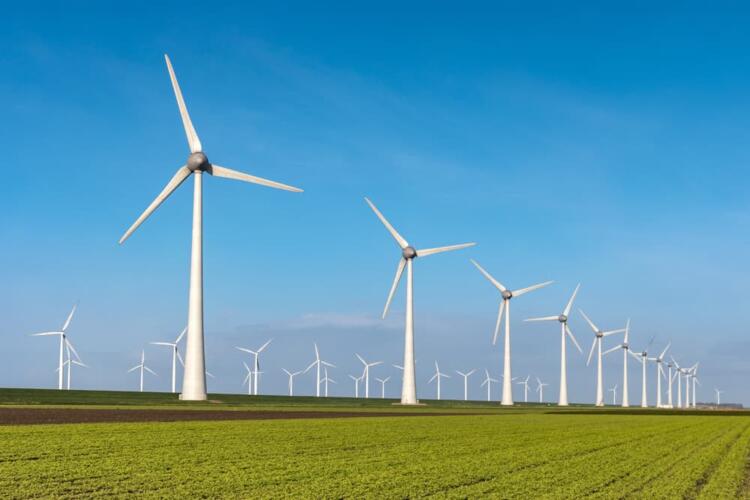 هل سنشهد تزايد تبني طاقة الرياح في المستقبل؟