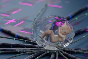 تعرّف إلى إيكتو لايف: أول منشأة للأرحام الاصطناعية ستغيّر مفهوم الولادة التقليدية