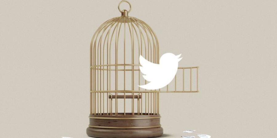 إيلون ماسك يكشف أسرار خوارزمية تويتر: كيف ترفع احتمال ظهور تغريداتك؟