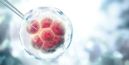 هل يمكن تشكيل الأجنة الحية من الخلايا الجذعية في المستقبل القريب؟