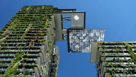 ما الفرق بين العمارة الخضراء والمستدامة؟
