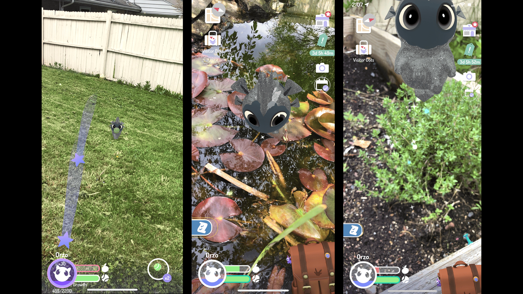 ثلاث صور من لعبة الواقع المعزز الجديدة من شركة نيانتك، بيريدوت، تظهر حيوان المؤلّفة الأليف، أورزو، وهو يلعب في فناء منزلها. الصورة إهداء من المؤلفة