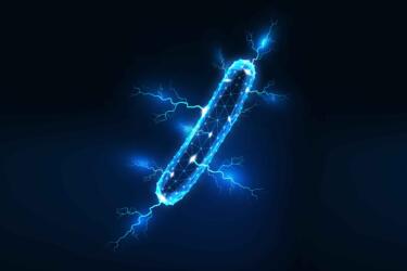 تعرّف إلى خلايا الوقود الميكروبية التي تولّد الكهرباء عن طريق البكتيريا