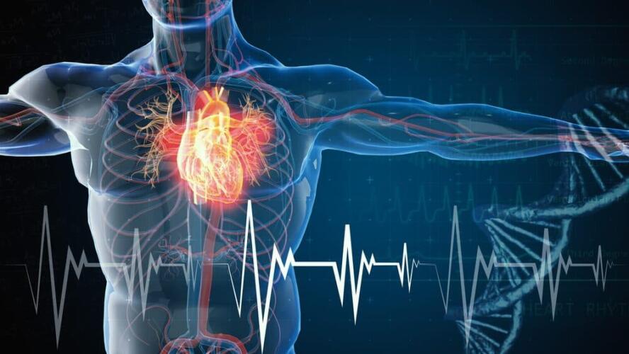 وشوم إلكترونية لمراقبة عمل القلب وتنظيم ضرباته