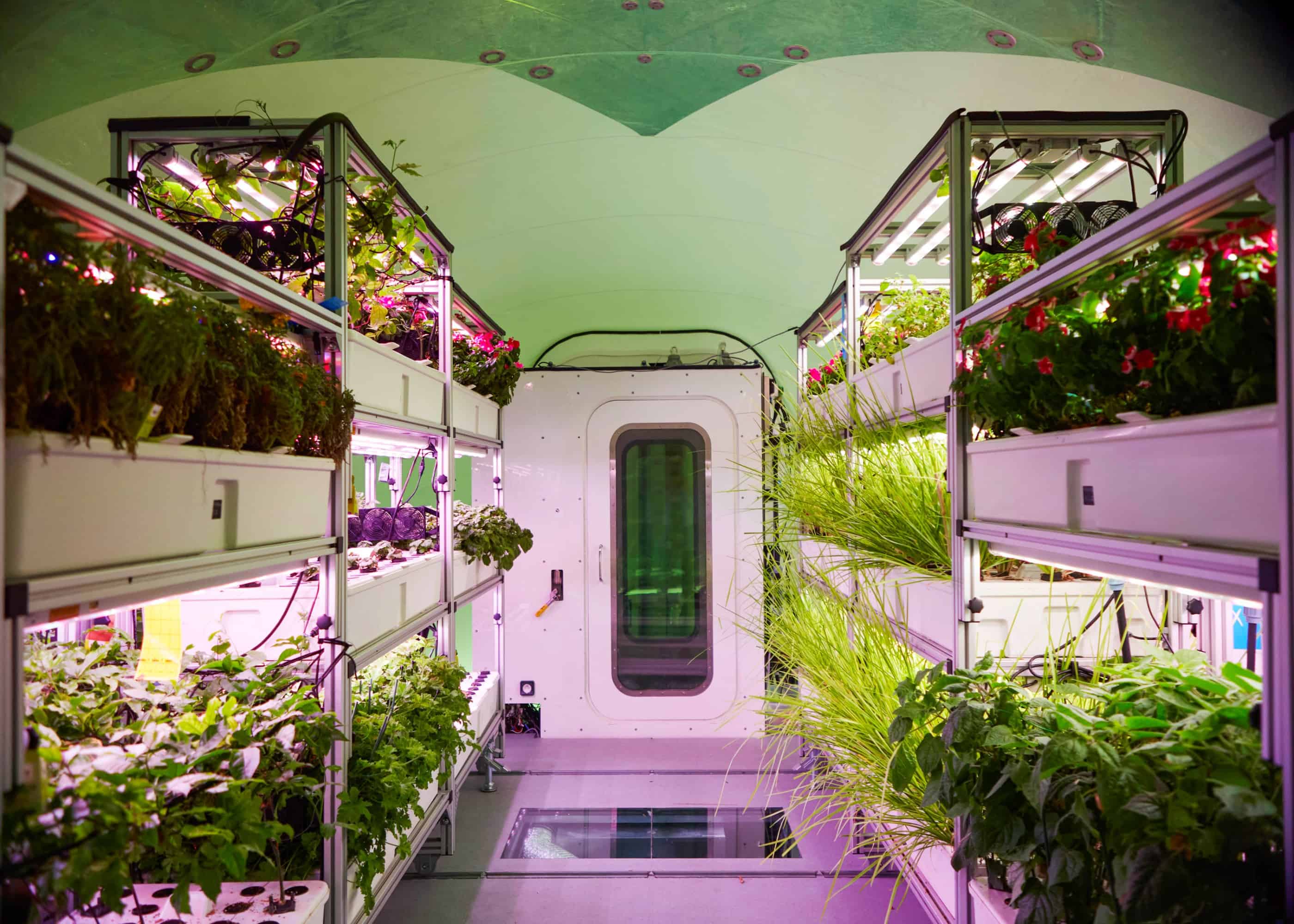 صورة داخلية لنظام بايوبود (BioPod) حيث تتعرض صفوف من النباتات الخضراء الصالحة للأكل إلى إنارة مصابيح الإنماء الاصطناعي