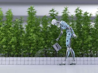 «ألفا غاردن» روبوت يتفوق على الخبراء البشر في العناية بالنباتات