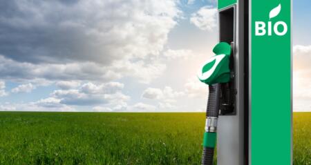 تعرّف إلى أحدث طرق إنتاج الوقود الحيوي