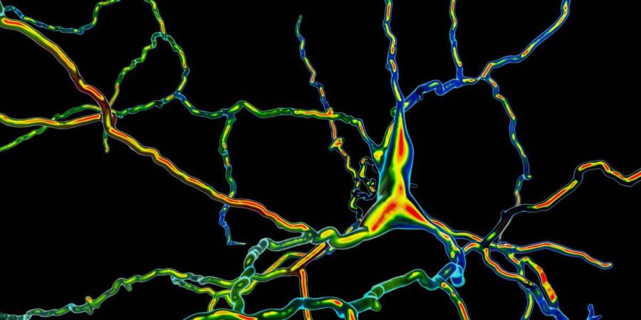 شركة تكنولوجيا حيوية تدّعي أنها نجحت في زرع الخلايا المفرزة للدوبامين في الدماغ