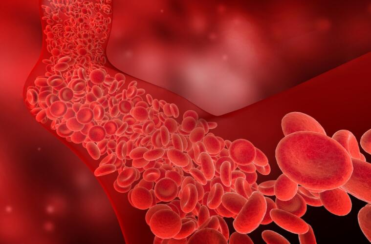 باحثون يطوّرون بطارية مستدامة تعمل بوجود هيموغلوبين الدم